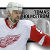 Holmstrom96Screens