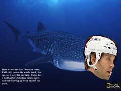 Nat Geo Thornton Shark