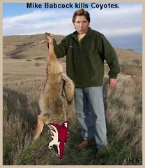 Mike Babcock Goes Coyote Hunting.