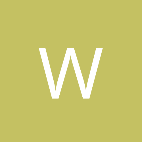 wingnut4L1FE