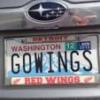 Wingnut in WA